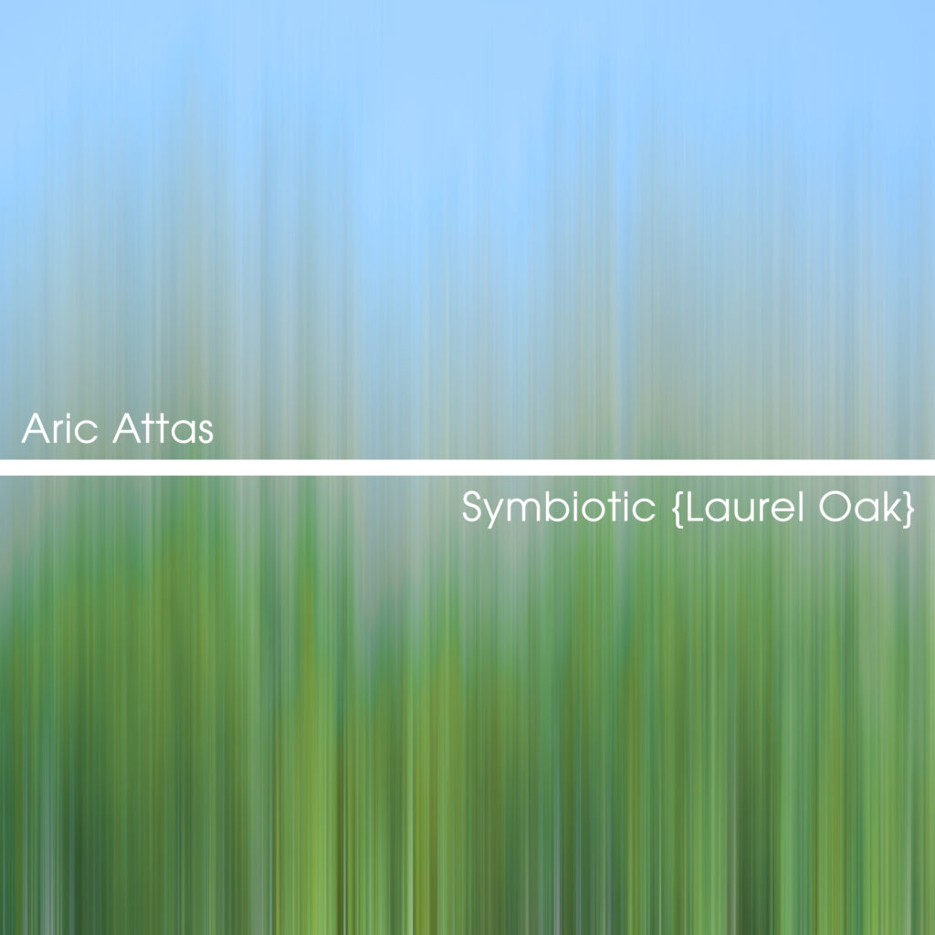 Album artwork for Symbiotic {Laurel Oak}, ambient music made with plants.